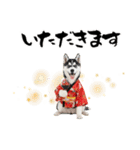 ハスキー子犬のお正月スタンプ❄️2026（個別スタンプ：33）
