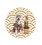 ハスキー子犬のお正月スタンプ❄️2026（個別スタンプ：39）