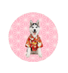 ハスキー子犬のお正月スタンプ❄️2026（個別スタンプ：40）
