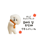 ずっと使える♡冬・年末年始 わんこ韓国語（個別スタンプ：2）