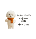 ずっと使える♡冬・年末年始 わんこ韓国語（個別スタンプ：4）