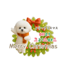 ずっと使える♡冬・年末年始 わんこ韓国語（個別スタンプ：5）