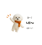 ずっと使える♡冬・年末年始 わんこ韓国語（個別スタンプ：8）