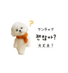 ずっと使える♡冬・年末年始 わんこ韓国語（個別スタンプ：9）