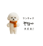 ずっと使える♡冬・年末年始 わんこ韓国語（個別スタンプ：10）