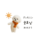 ずっと使える♡冬・年末年始 わんこ韓国語（個別スタンプ：13）