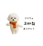 ずっと使える♡冬・年末年始 わんこ韓国語（個別スタンプ：16）