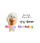 ずっと使える♡冬・年末年始 わんこ韓国語（個別スタンプ：17）