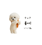 ずっと使える♡冬・年末年始 わんこ韓国語（個別スタンプ：18）