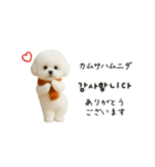 ずっと使える♡冬・年末年始 わんこ韓国語（個別スタンプ：19）