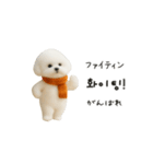 ずっと使える♡冬・年末年始 わんこ韓国語（個別スタンプ：22）