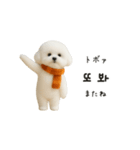 ずっと使える♡冬・年末年始 わんこ韓国語（個別スタンプ：24）