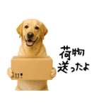 ラブラドールレトリバー★使える！家族連絡（個別スタンプ：32）