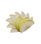 カスタムケーキスタンプ（個別スタンプ：35）