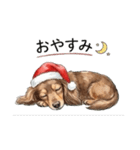 チョコタン りくくんのクリスマス（個別スタンプ：5）