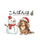 チョコタン りくくんのクリスマス（個別スタンプ：6）