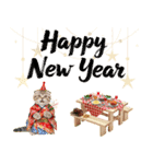 スコティッシュ子猫♡お正月スタンプ（個別スタンプ：8）