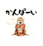 スコティッシュ子猫♡お正月スタンプ（個別スタンプ：22）