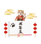スコティッシュ子猫♡お正月スタンプ（個別スタンプ：26）