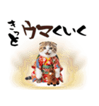 スコティッシュ子猫♡お正月スタンプ（個別スタンプ：27）