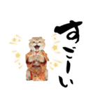 スコティッシュ子猫♡お正月スタンプ（個別スタンプ：32）