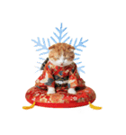 スコティッシュ子猫♡お正月スタンプ（個別スタンプ：38）