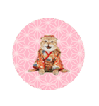 スコティッシュ子猫♡お正月スタンプ（個別スタンプ：40）