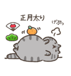 ☆とろけるネコのお正月☆シルバータビー（個別スタンプ：20）