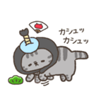 ☆とろけるネコのお正月☆シルバータビー（個別スタンプ：37）