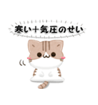 毎日五月病なねこたち 3D風！季節の変わり目（個別スタンプ：7）
