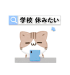 毎日五月病なねこたち 3D風！季節の変わり目（個別スタンプ：23）