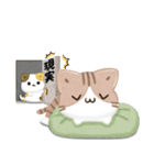 毎日五月病なねこたち 3D風！季節の変わり目（個別スタンプ：32）