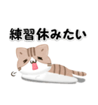 毎日五月病なねこたち 3D風！季節の変わり目（個別スタンプ：33）