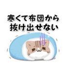 毎日五月病なねこたち 3D風！季節の変わり目（個別スタンプ：37）