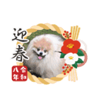 ノア お年賀スタンプ♡2026（個別スタンプ：1）
