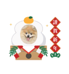 ノア お年賀スタンプ♡2026（個別スタンプ：2）