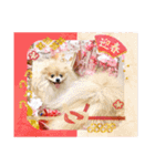 ノア お年賀スタンプ♡2026（個別スタンプ：3）