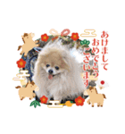 ノア お年賀スタンプ♡2026（個別スタンプ：4）