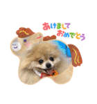 ノア お年賀スタンプ♡2026（個別スタンプ：5）