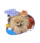 ノア お年賀スタンプ♡2026（個別スタンプ：7）