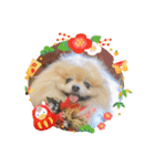 ノア お年賀スタンプ♡2026（個別スタンプ：11）