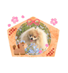 ノア お年賀スタンプ♡2026（個別スタンプ：12）