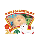 ノア お年賀スタンプ♡2026（個別スタンプ：13）