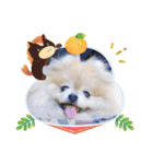 ノア お年賀スタンプ♡2026（個別スタンプ：14）
