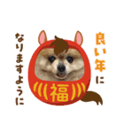 ノア お年賀スタンプ♡2026（個別スタンプ：15）