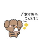 トイプードルさん◎年末年始 #2026（個別スタンプ：1）