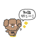 トイプードルさん◎年末年始 #2026（個別スタンプ：10）