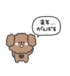 トイプードルさん◎年末年始 #2026（個別スタンプ：20）
