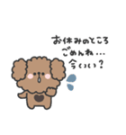 トイプードルさん◎年末年始 #2026（個別スタンプ：21）