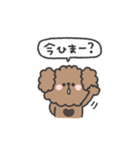 トイプードルさん◎年末年始 #2026（個別スタンプ：22）